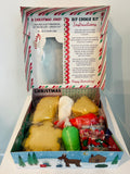 DIY Holiday Cookie Decorating Kit